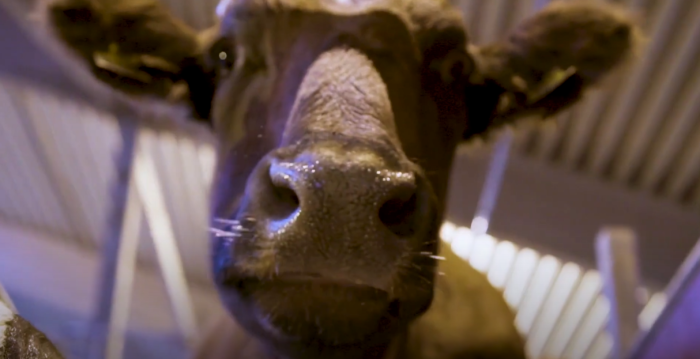 näyttökuva 2025 10 08 122609